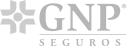 GNP.png