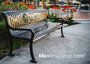 Read more about the article Mexican Insurance La Mesa